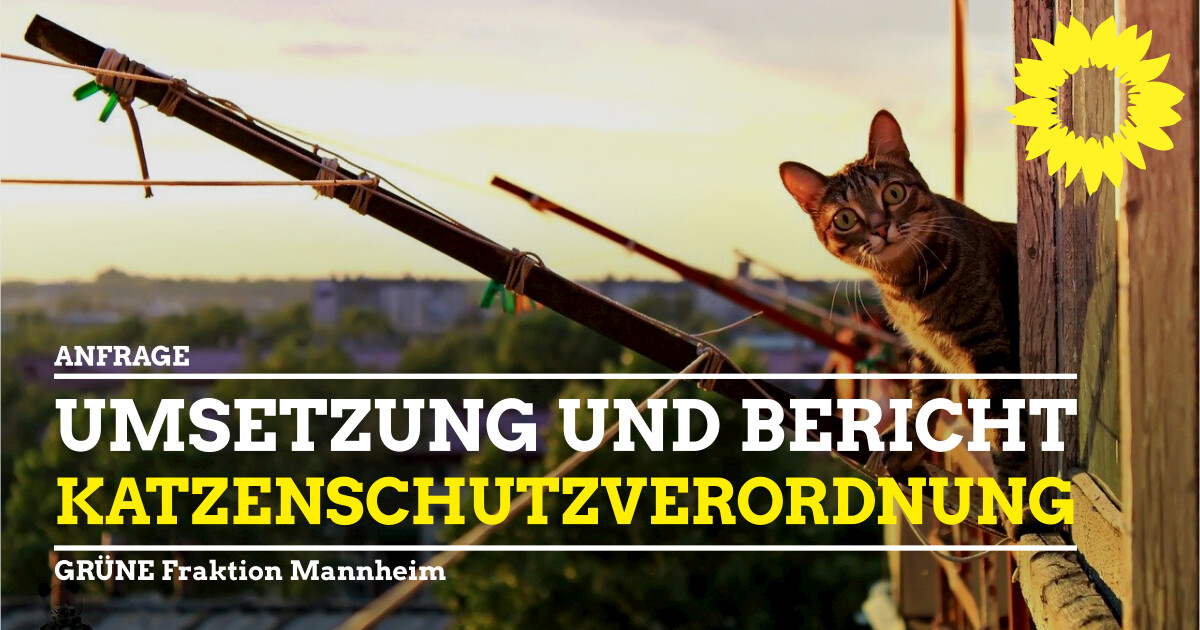 Umsetzung Katzenschutzverordnung