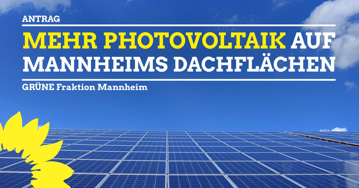 Mehr Photovoltaik auf Mannheims Dächern