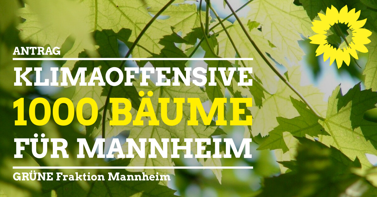 Antrag Klimaoffensive 1000 Bäume für Mannheim