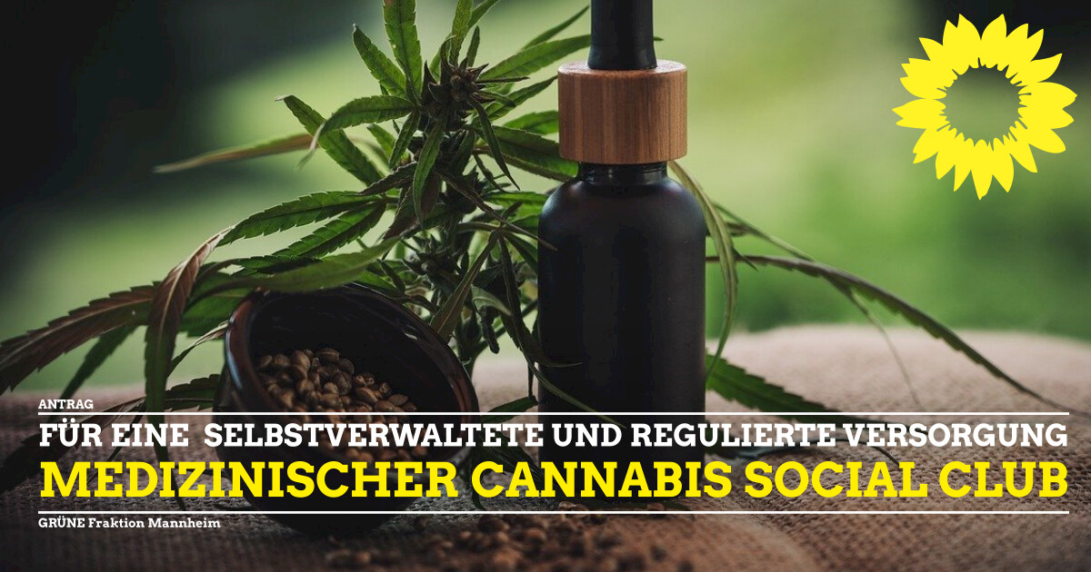 Antrag Einrichtung Cannabis Social Club