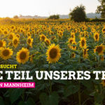 Sharepic Stellenanzeige Sekretaer_in