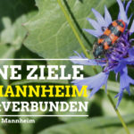 Internationaler Tag der Umwelt 2020. Grüne Ziele für Mannheim!