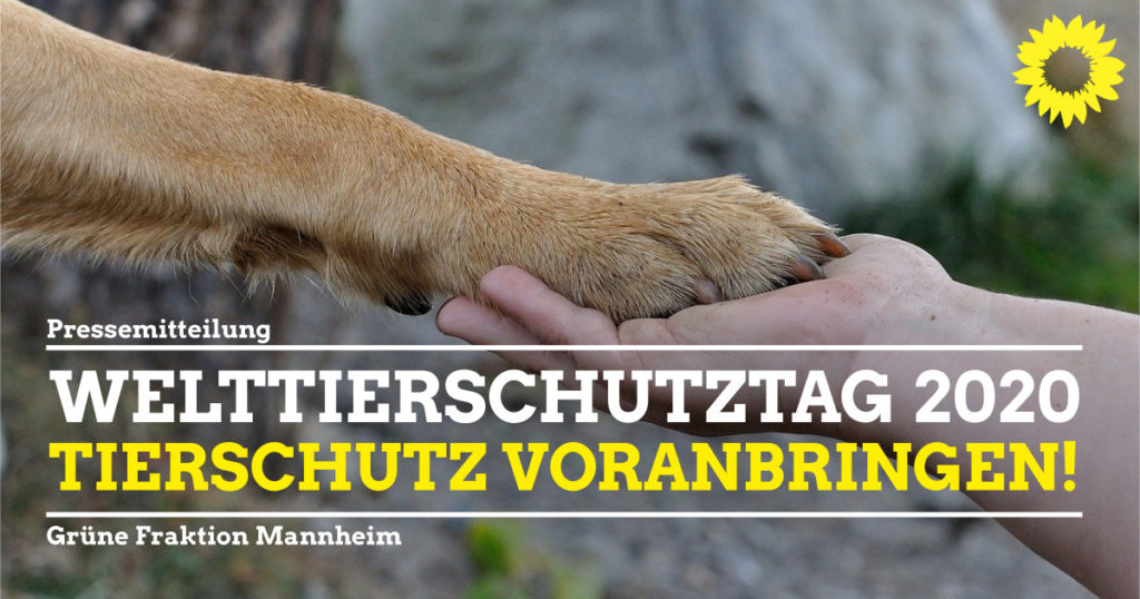 Engagement für Tierschutz unterstützen | Grüne Fraktion Mannheim