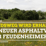 Kein neuer Asphaltweg in der Au NEU