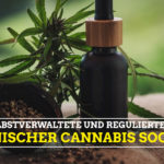 Cannabis Social Club