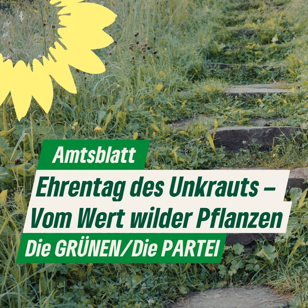 Ehrentag des Unkrauts  Vom Wert wilder Pflanzen | Grne Fraktion Mannheim